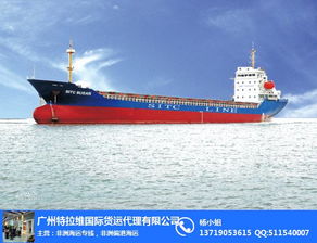 塞舌尔海运非洲专线 中国到非洲偏港货代的全面解析