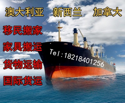 东莞工厂出口海运澳大利亚包柜运输20尺集装箱门到门